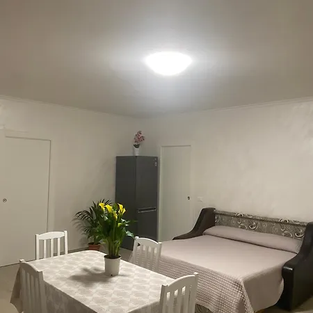 Casa Miron - Goelba アパート *